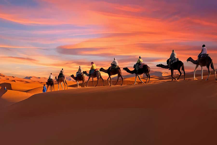 Tour Packages
